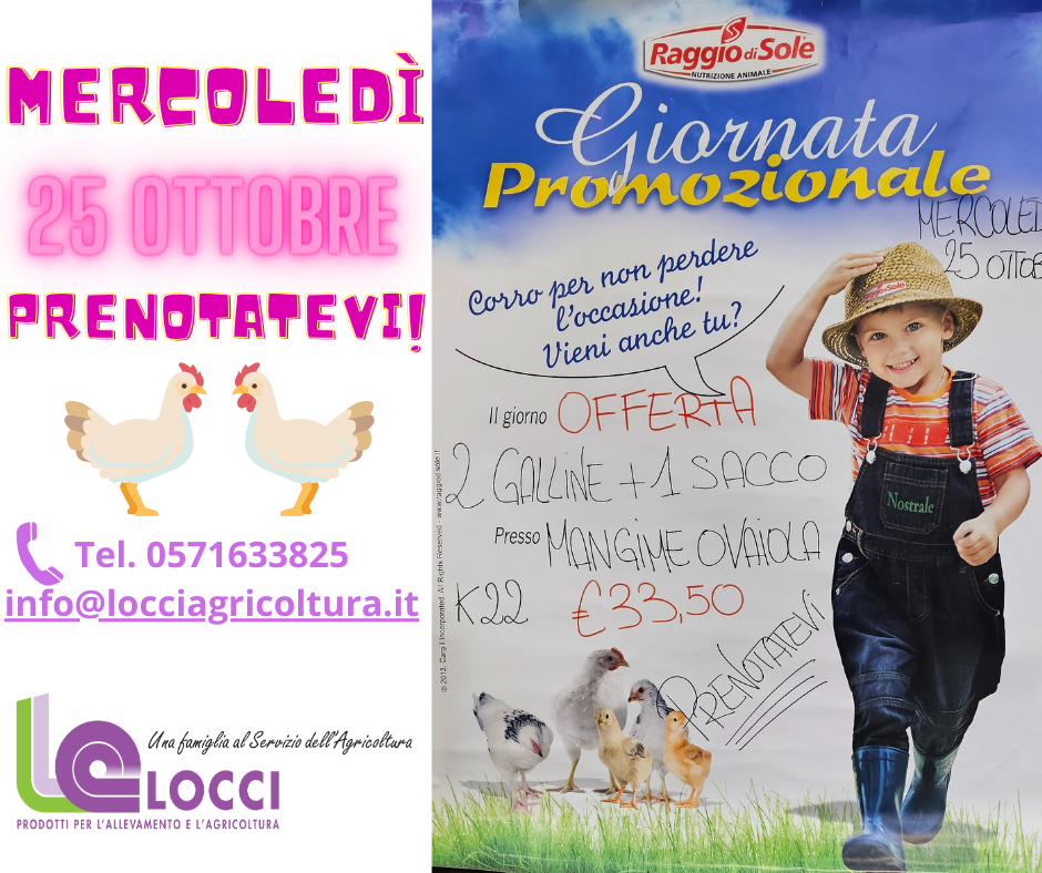 promozione 2 galline + mangime