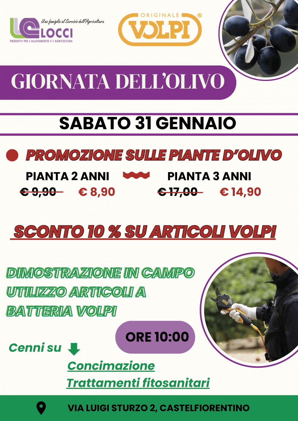 promozioni del 31 gennaio 26