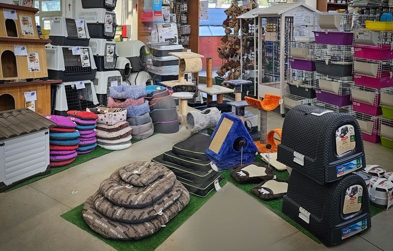 assortimento di accessori per animali, cucce, guinsagli, ecc